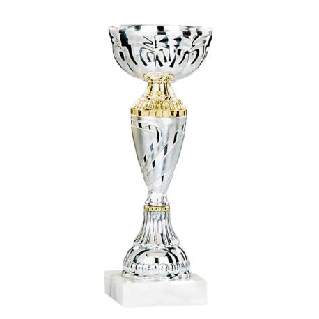 Coupe Argent et or personnalisable